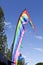 Beach Flags