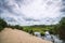 Beach by a forest lake with nature wilderness