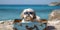 Beach Fun with Shih Tzu dog Suitcase Adventure and Sunglasses - travel and vacations concept. Generative AI