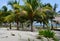 Beach garden Holiday summer Mexico Palms