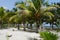 Beach garden Holiday summer Mexico Palms