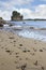 Beach at Garibaldi Oregon