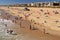 Beach goers enjoy the summer sun