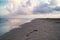 The Beach at Grand Isle, Louisiana