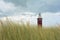 Beach grass with the blurred lighthouse Westhoofd in Ouddorp