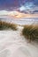 Beach grass on dune, Baltic sea at sunset