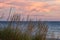 Beach Grass Lake Michigan Sunset