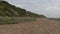 Beach with grasses, wildflowers and blue sky