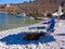 a beach in greece with a goat