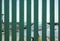 beach through green railings