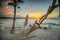 Beach Hammock at Sunset on Turks and Caicos