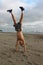 Beach Handstand