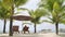 Beach holiday concept. Vietnamese beach, with palm trees and ocean. Woman on a tropical beach. A girl lies on a sun
