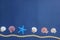 Beach holidays background. Seashells, starfishes and rope on the dark blue background.