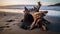 Beach Hollow Stump Hd Photography