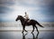 Beach horse rider silhouette