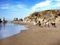 Beach Horse Riding