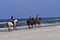 Beach horses