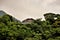 A beach house on the hill of Praia da Cocanha