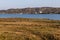 Beach houses, Vegetation and rocks around Clifden bay