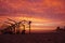 Beach hut frames silhouetted against vivid red sunset sky with dramatic clouds