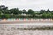 Beach huts on Llanbedrog beach, North Wales, UK