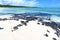 beach ile du cerfs seaweed indian ocean mauritius