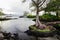 Beach inlet, Hilo, Hawaii. Tree on rock peninsula in foreground; smooth pool with rocks and vegetation behind.