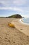 Beach and Jurassic cliffs at West bay Dorset England