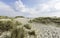 Beach landscape with sand marram grass on Sylt island