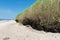Beach landscape with steep dune coast blue sky Liepaja Skede Latvia