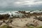 Beach Landscape, Tauranga City, North Island, New Zealand