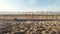 Beach landscape with a wood fence and a tree trunk