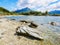 Beach of Lapataia Bay in Terra del Fuego National Park, Patagonia, Argentina