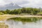 Beach in Lapataia bay,Tierra del Fuego National Park