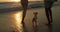 Beach, legs and a couple walking their dog at sunset together for love, travel or freedom in the evening. Nature, feet