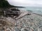 Beach with Logs and Rocks