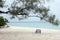 Beach lounger under a tree in Africa