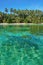 Beach with lush vegetation and clear water