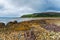 The beach at Machrie Bay on the west coast of the Isle of Arran