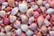 a beach made of sea shells, in light pink and light pink,