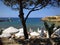 Beach Mediterranean Sea and nature Cyprus