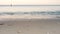 Beach in morning, small sea waves washing sand, closeup detail, blurred boat at distance