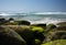 Beach and Mossy Rocks