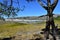 Beach with mountain, lake, wooden boardwalk and pine trees. Rocks, bright sand and turquoise water. Blue sky, Galicia, Spain.