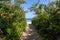 Beach Narrow Walking Path Bush Blue Ocean