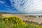 Beach near Curio Bay in the South New Zealand