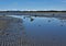 Beach near Gustavus Alaska at low tide