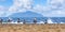 Beach nesting birds and seagulls with ocean and mountain