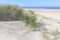 Beach in The Netherlands with dunes and marram grass